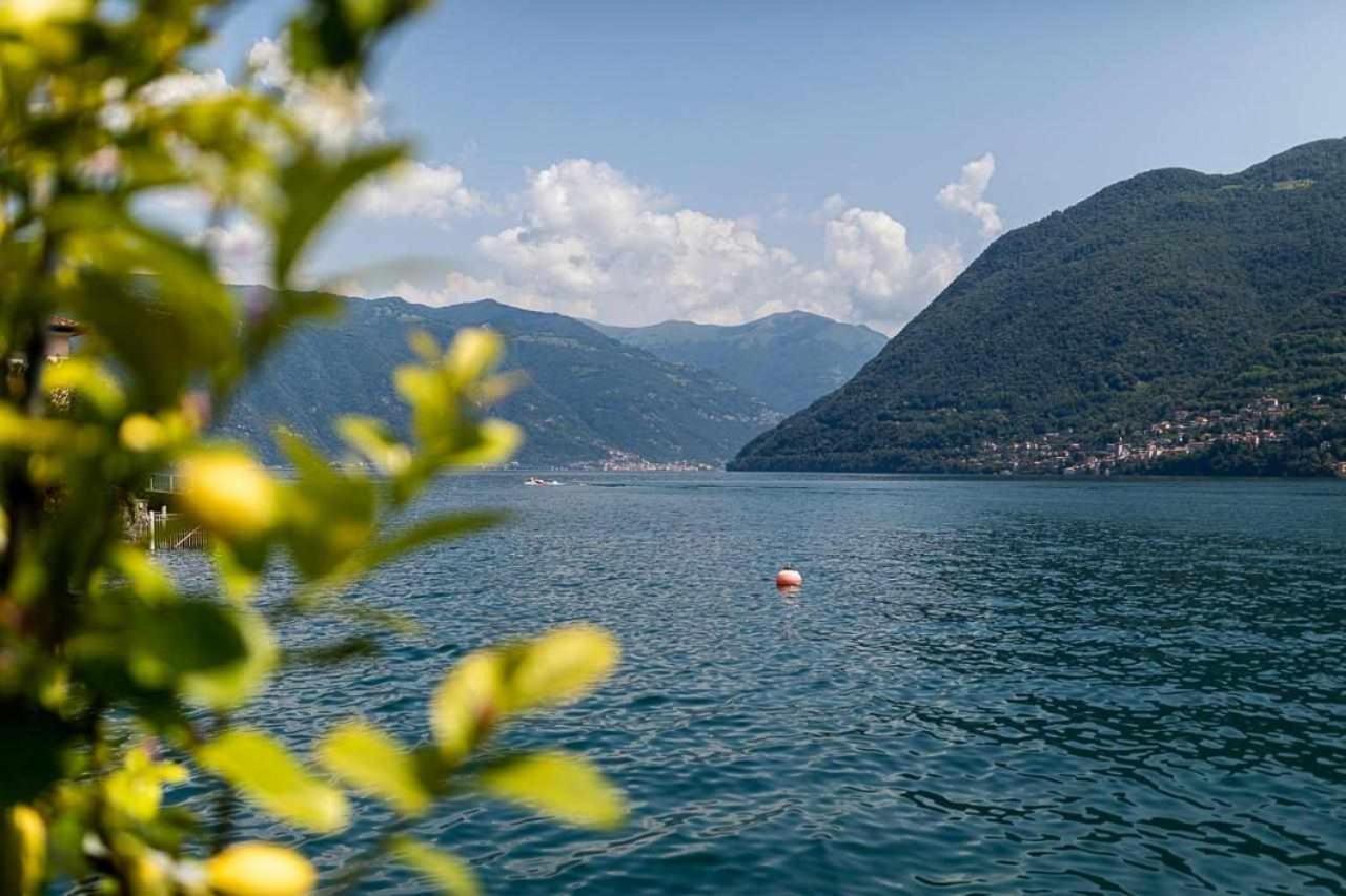 Villa Delle Edere Brienno Екстериор снимка