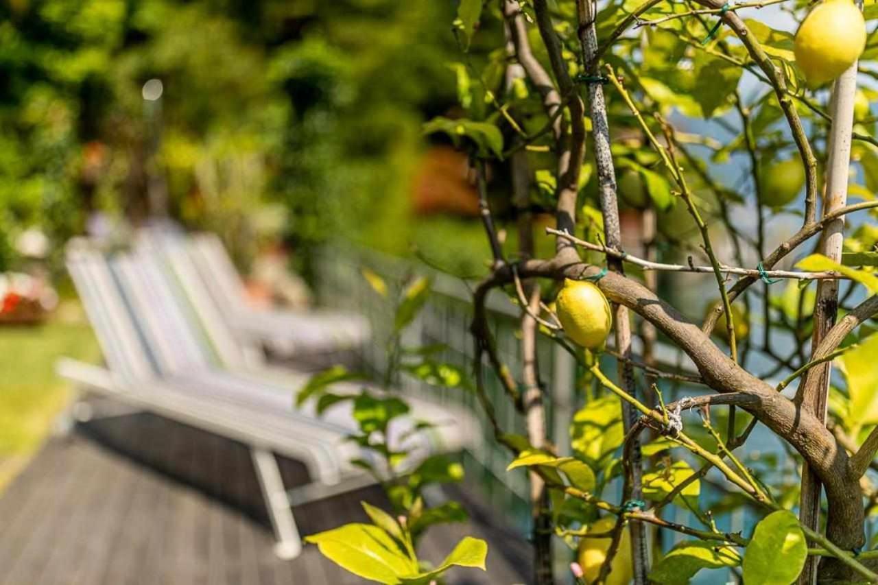 Villa Delle Edere Brienno Екстериор снимка